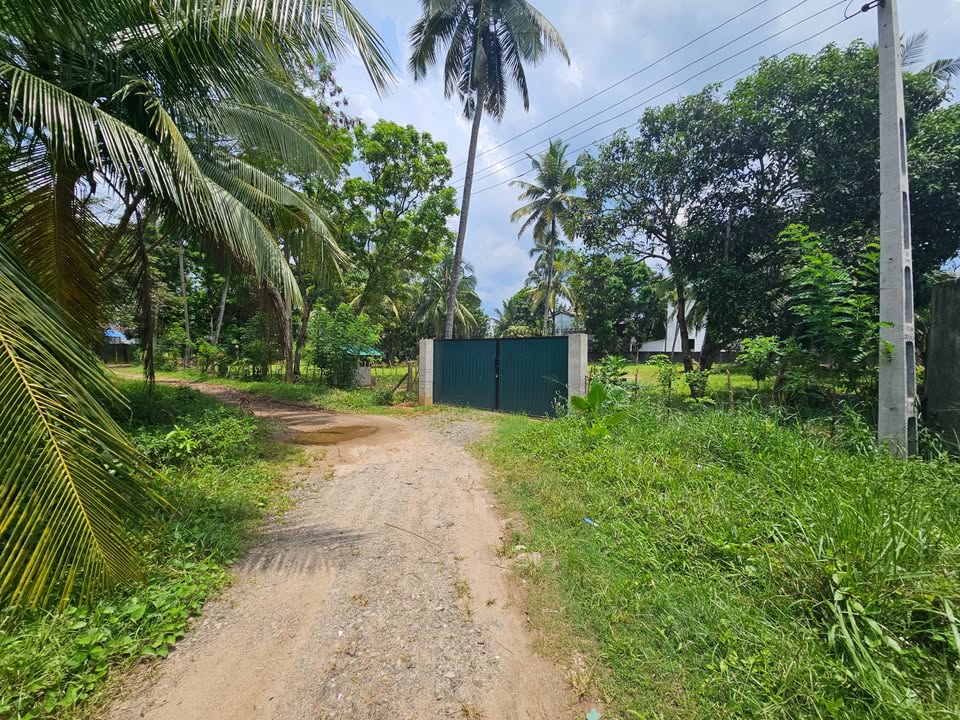 Massive commercial land available for lease in a high-access location! Godallawatta, Weliwita Avissawella