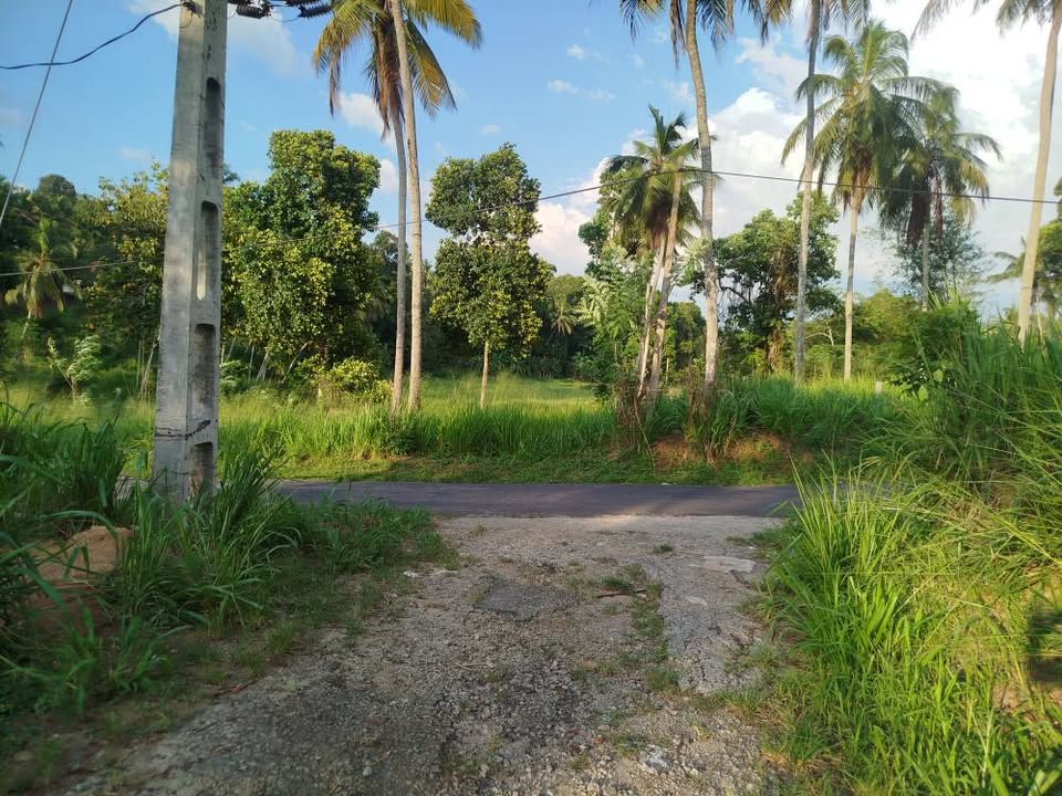 Land for Sale – 2.25 Acres Facing Mawanella ,Hemmathagama