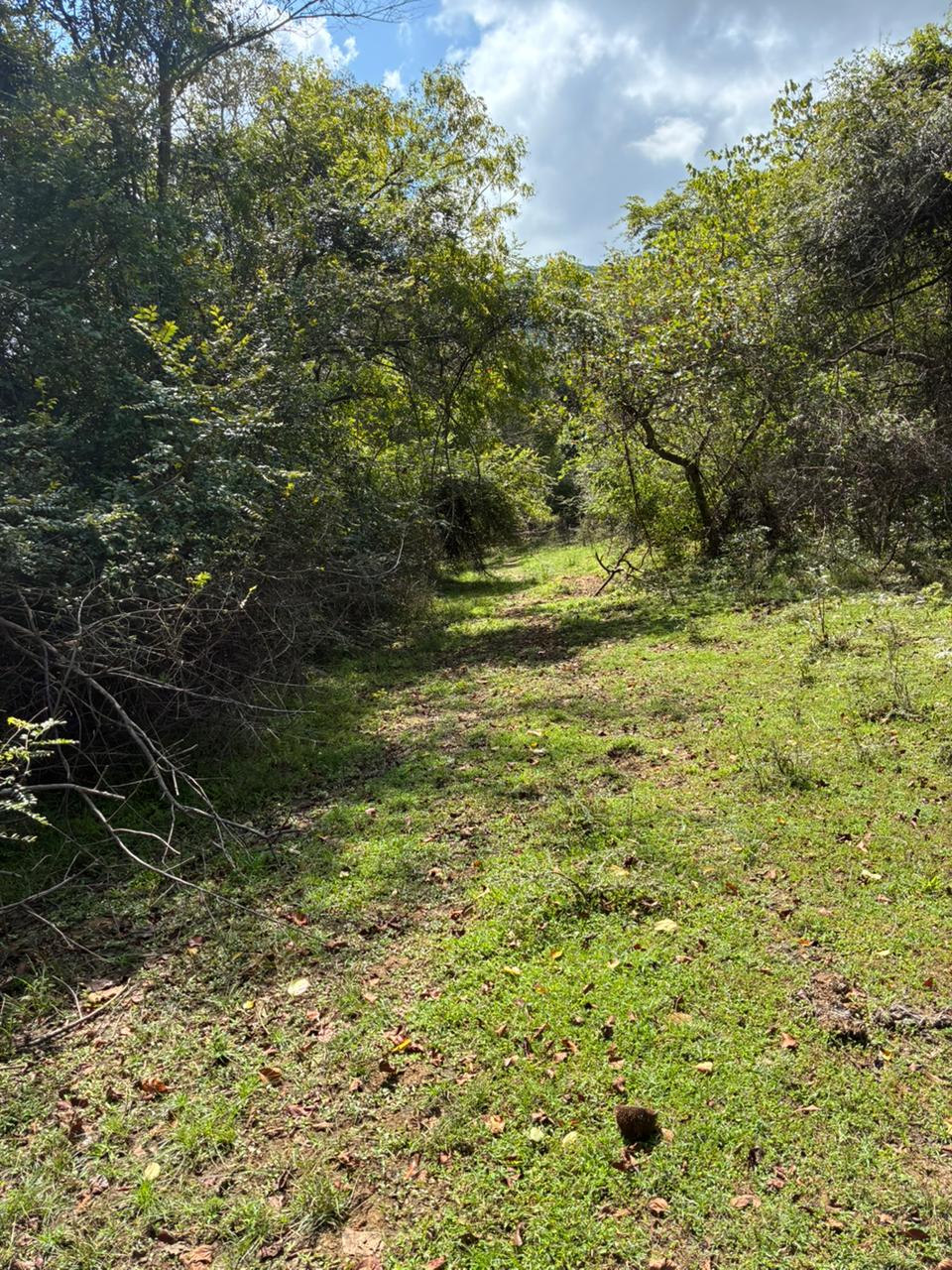 Land for Sale - Dambulla near Kandalama Lake