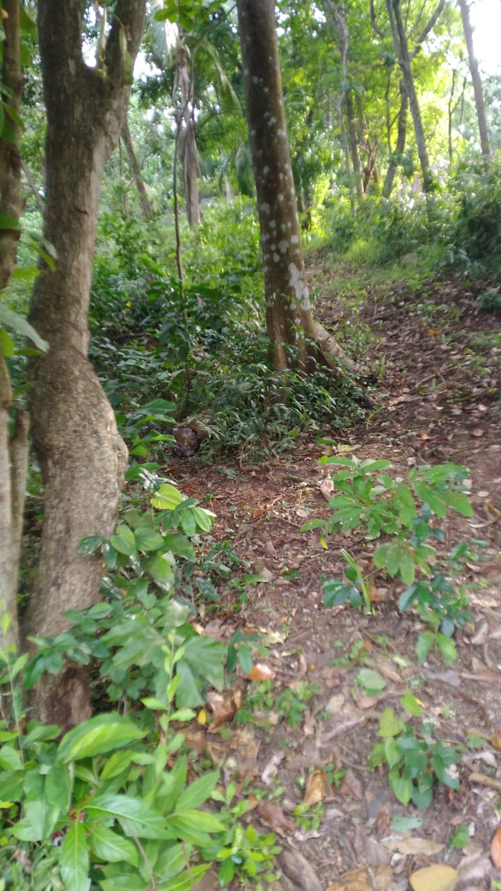 Land for Sale in Mathara Dewinuwara