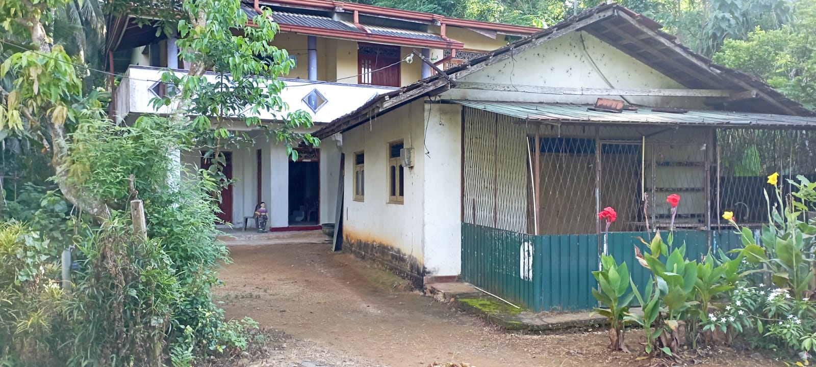 Tea Estate with Two-Storey House for Sale - Kahawaththa , Rathnapura