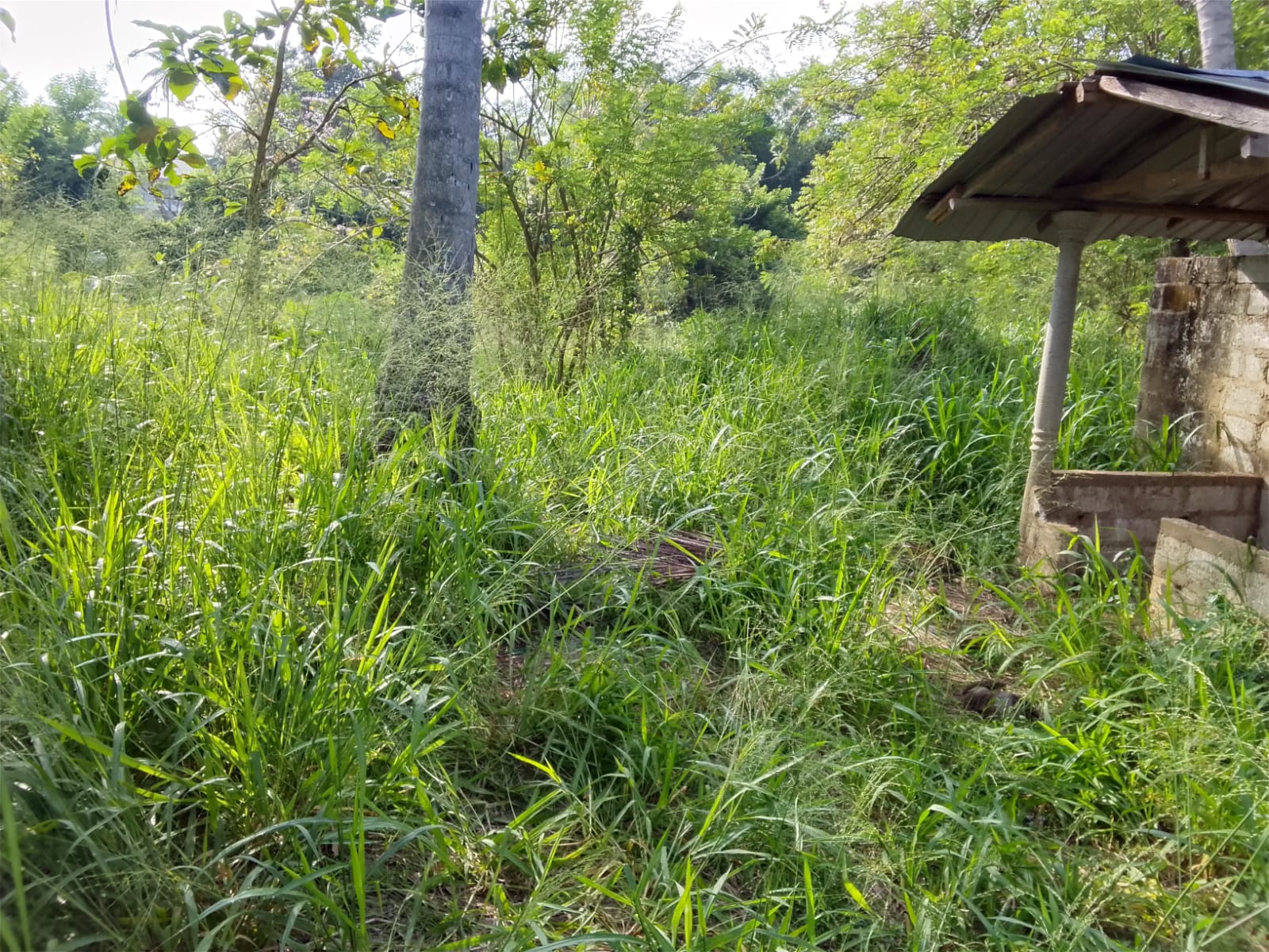 Land for Sale - Kurunagala
